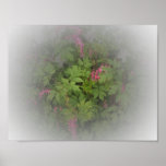 Bleeding Hearts Poster