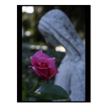 Blessed Virgin Mary & the Rose Postcards