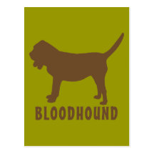 Bloodhound Postcard