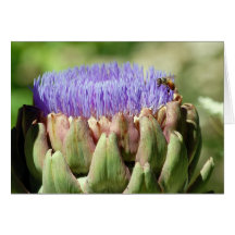 blooming artichoke and bee greeting cards