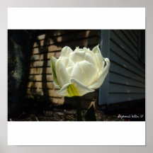 Blooming Beauty Print