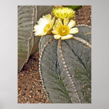 Blooming Cactus Print