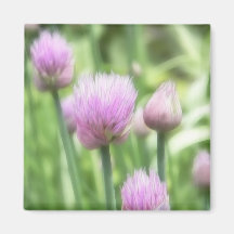 Blooming Chives Refrigerator Magnets