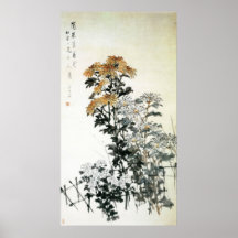 Blooming Chrysanthemum Poster
