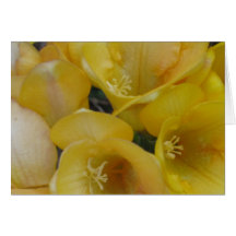 Blooming Freesia Cards