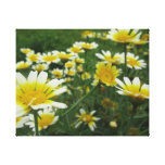 Blooming Meadow canvas prints