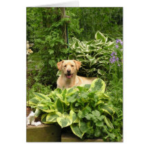 Blooming Puppies Greeting Card