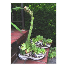 Blooming Shoe ~ postcard