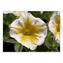 blooming yellow greeting card