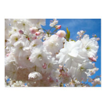 Blossom Flowers Spring Appointment Cards Reminders Business Card Templates