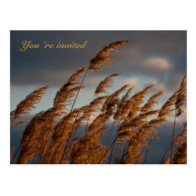 Blowing in the wind postcard invitation