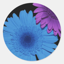 Blue and Purple Daisy Sticker