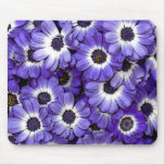 Blue Anemones Mousepads