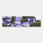 Blue Bells Bumper Stickers