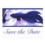 Blue Betta Fish Save The Date Postcards