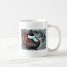 Blue Billed Duck Coffee Mug