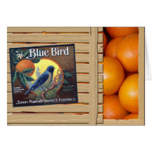 Blue Bird Oranges Greeting Card