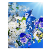 blue bird post cards
