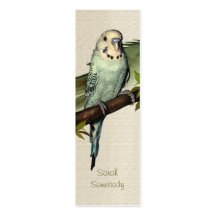Blue Budgie Art Skinny Profile Card Business Card Template
