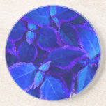 Blue colourized plant coleus coaster