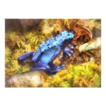 Blue Dart Frog Custom Announcement