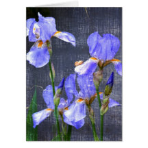 Blue Day Irises Card