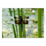 Blue Dragonfly Card