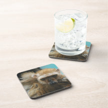 Blue Eyed Lemur Cork Coasters