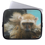 Blue Eyed Lemur Electronics Bag laptop sleeves