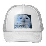 Blue Eyed Snow Owl Mesh Hats