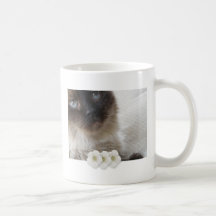 Blue Eye's Kitty Mugs