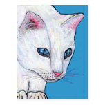 Blue Eyes White Cat Post Card