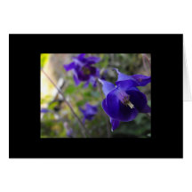 Blue flora card