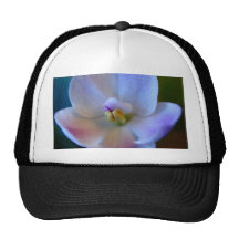 Blue Flower.jpg Hat