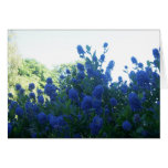 Blue Flowers Cards