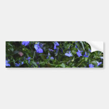 Blue Flowers with Water Droplets Bumper Stickers