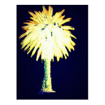 Blue Gold Canary Island Date Palm Postcards
