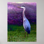 Blue Heron Collection posters