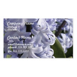 Blue Hyacinth  Business Cards