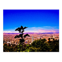 Blue in reds and pinks. tarjeta postal