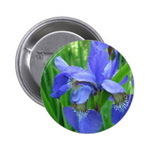 blue iris buttons