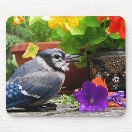 Blue Jay and Flowers Mousemat