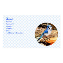 Blue Jay Business Card Templates