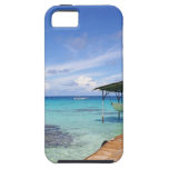 Blue Lagoon at the Tuamotus, French Polynesia iPhone 5 Covers
