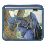 Blue Macaw iPad Sleeve