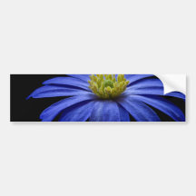 Blue Macro Flower Bumper Sticker