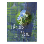 Blue Morning Glory Postcard- customise any occasio