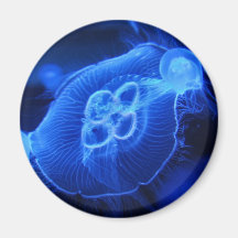 Blue Neon Jellyfish Magnet