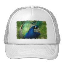 Blue Peacock Baseball Hat