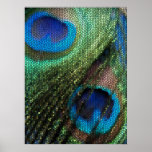 Blue Peacock Feather with Stained Glass Effect Print